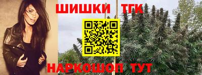 дживик Тверь