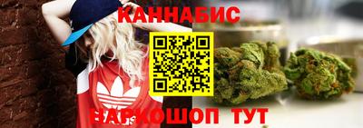 дживик Тверь
