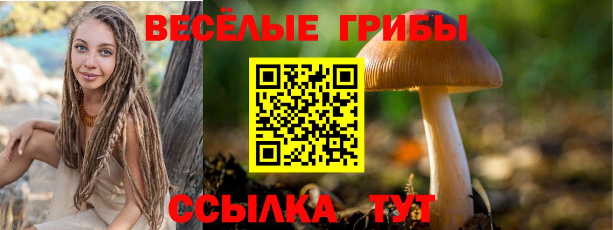 купить   Псилоцибиновые грибы Magic Shrooms  Вход с VPN  Братск 